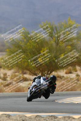 media/Apr-10-2022-SoCal Trackdays (Sun) [[f104b12566]]/Turn 5 Tree of Life (1040am)/